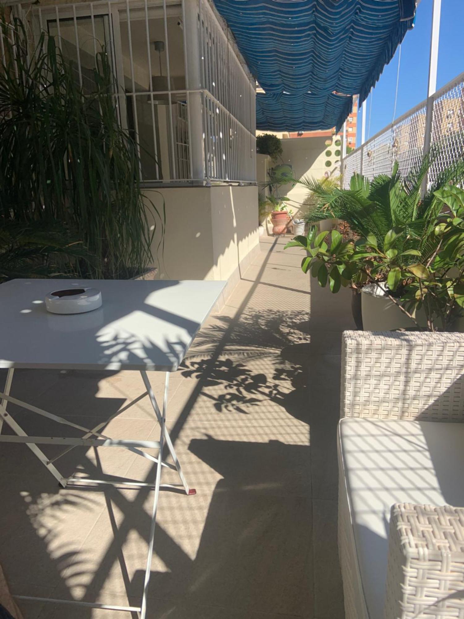 Apartamento Jardin Cerca Del Centro Sevilla Exteriör bild